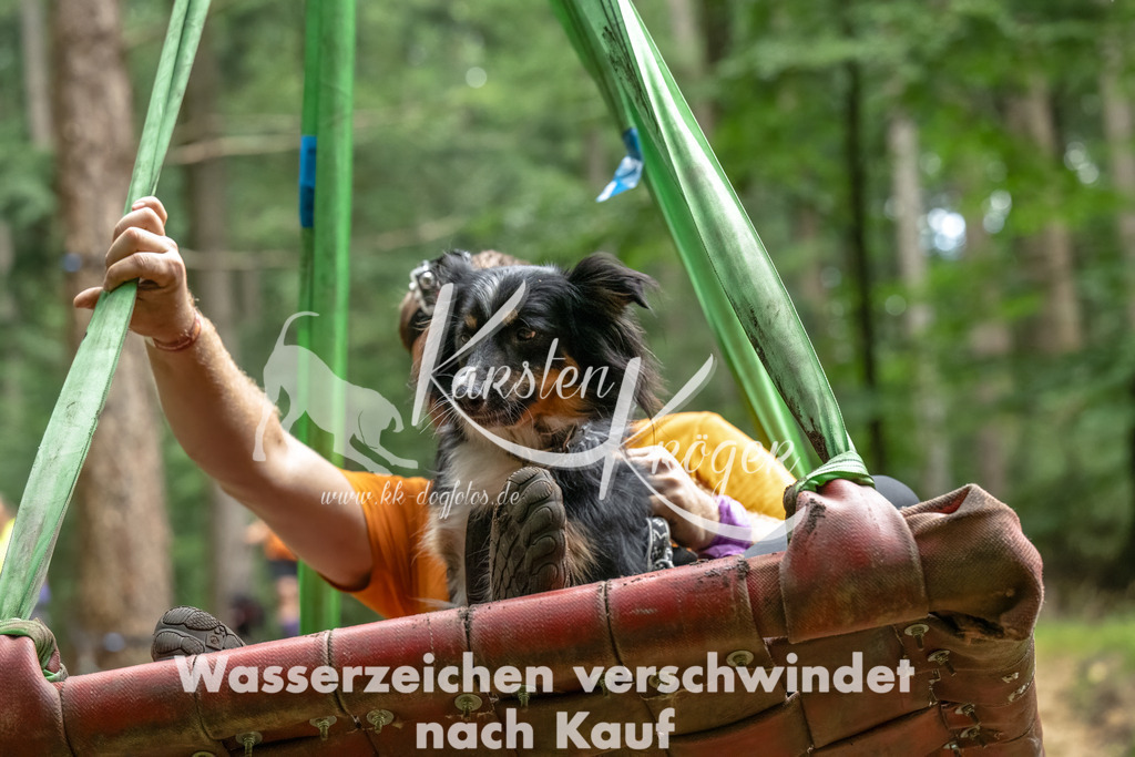 1151_ZZ90825-Bearbeitet | kk-dogfotos