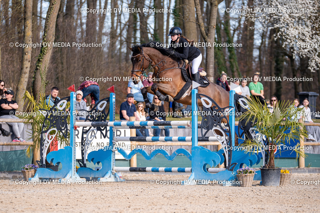 Kranichstein Tag 2-0971 | dv-media-shop - Realisiert mit Pictrs.com