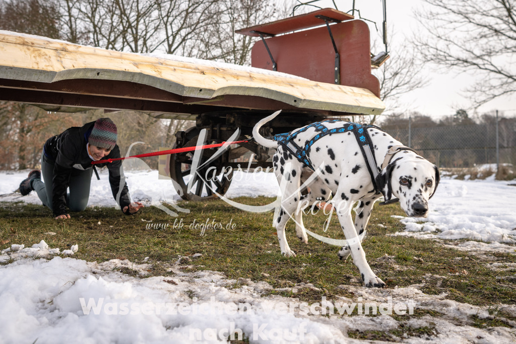 0845_ZZ92633-4 | kk-dogfotos