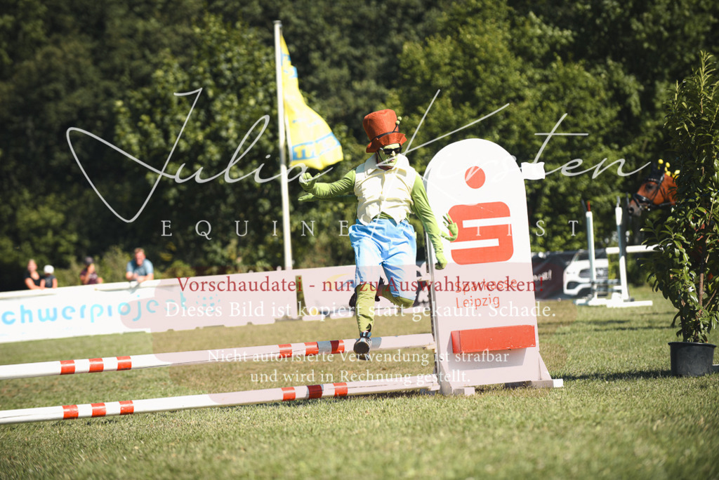 DSC_7494 | Pferde- und Turnierfotografie in Westsachsen. Pferdeportraits, Auftragszeichnungen und intuitive Kunst.