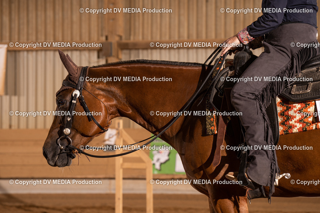 NID00866 | dv-media-shop - Realisiert mit Pictrs.com