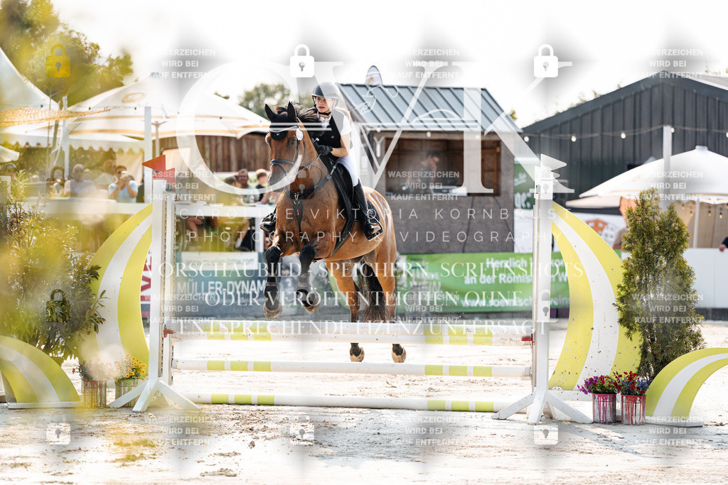 CK902724 | Turnierfotografie Pferdefotografie Trier Rheinland-Pfalz Pferdesport Reitsport Tierfotografie Sportfotografie Pferdevideo Pferdevideografie Equestrianvideography equestrianphotography  - Realisiert mit Pictrs.com