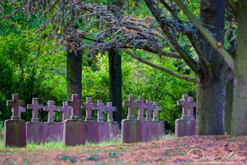 Der alte Hauptfriedhof in Mainz | Der alte Hauptfriedhof in Mainz