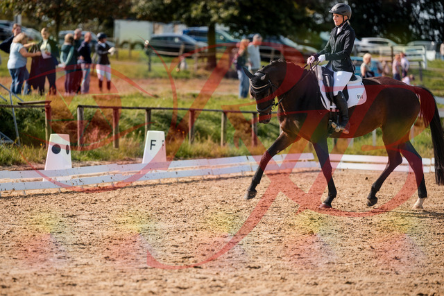 2026_10_03_Siefer-Hof_133641_Z63_97563958 | Professionelle Reitsport-, Turnier- und Eventfotografie von Robert Broda. Galerien mit ausgewählten und bearbeiteten Bildern direkt online ansehen und bestellen.
