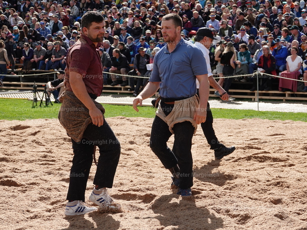 DSC07129 | Schwingen - Realisiert mit Pictrs.com