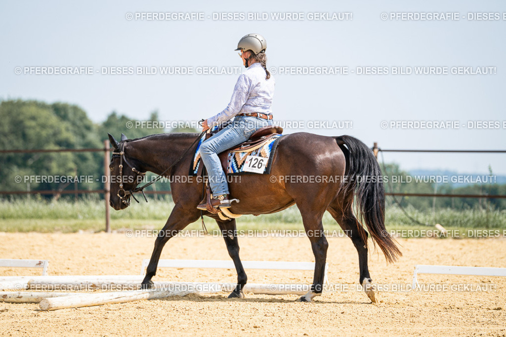 DSC00637 | Pferdegrafie