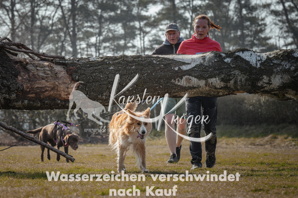 1110_ZZ95013 | kk-dogfotos
