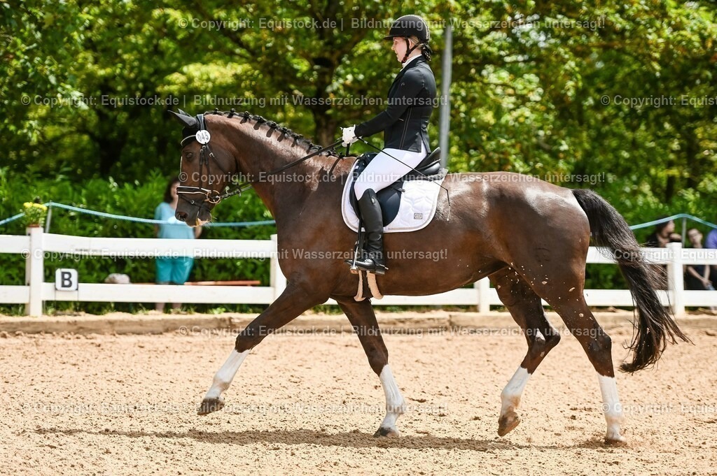 20230716_03_Dressurprfg. Kl.L - Tr._0176 | equistock