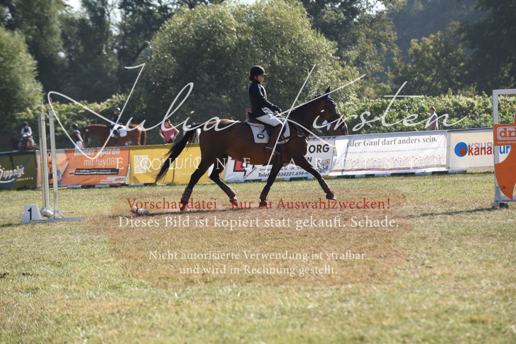 DSC_5972 | Pferde- und Turnierfotografie in Westsachsen. Pferdeportraits, Auftragszeichnungen und intuitive Kunst.