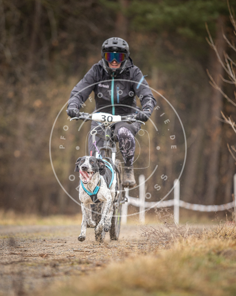 DV3A3291 | Hundefotografie, Tierfotograf, Pfotenfotografie, Fotoshooting Hund, Hunde Portrait, Hundesport, Hundeportraits, Heideshooting, Hunde, Sportfotograf, Hundefotograf, Turnierhundsport, THS,  - Realisiert mit Pictrs.com