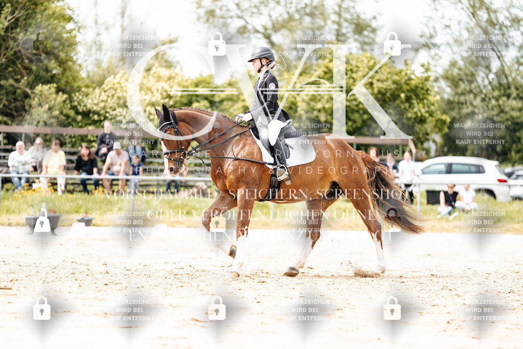 CK902258 | Turnierfotografie Pferdefotografie Trier Rheinland-Pfalz Pferdesport Reitsport Tierfotografie Sportfotografie Pferdevideo Pferdevideografie Equestrianvideography equestrianphotography  - Realisiert mit Pictrs.com