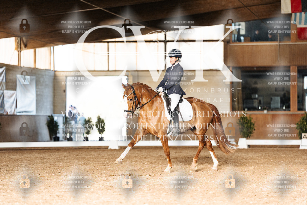 CK902995 | Turnierfotografie Pferdefotografie Trier Rheinland-Pfalz Pferdesport Reitsport Tierfotografie Sportfotografie Pferdevideo Pferdevideografie Equestrianvideography equestrianphotography  - Realisiert mit Pictrs.com