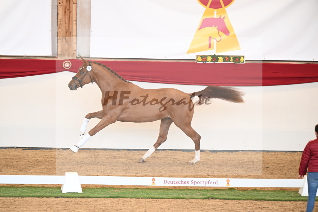 Kat.-Nr. 86 v. Vitalis_Bachinger_2250869 | hf-fotografie - Realisiert mit Pictrs.com