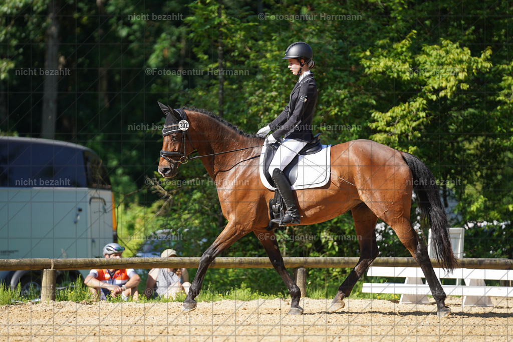 20240706-FAH04653 | Grafing Turnierfotos, Reitverein Ebersberg, Turnierfotografen Bayern, reitsportbilder, Pferdefotograf, reitsportfotograf, Sportbilder, Reitsportfotografie, Fotoagentur Herrmann, Turnierfotograf