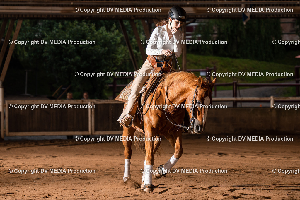 Erbach Tag 3-846 | dv-media-shop - Realisiert mit Pictrs.com