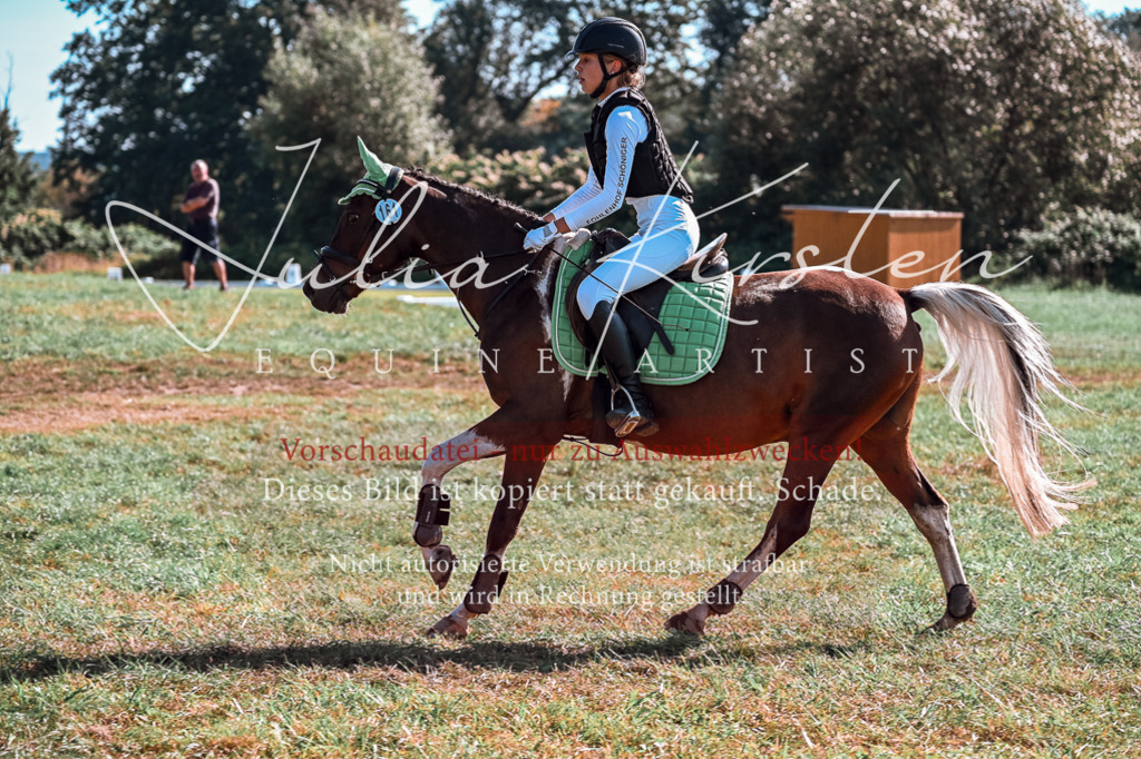 DSC_0841 | Pferde- und Turnierfotografie in Westsachsen. Pferdeportraits, Auftragszeichnungen und intuitive Kunst.