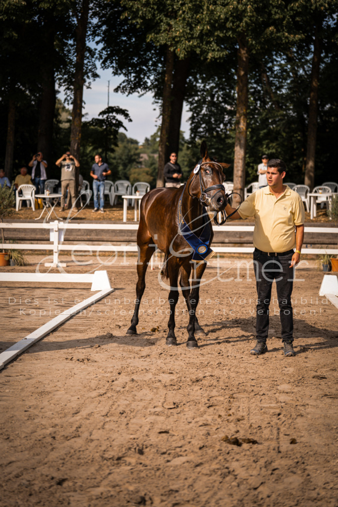 FrER00275 | Leoni Ertmer Photography - Realisiert mit Pictrs.com