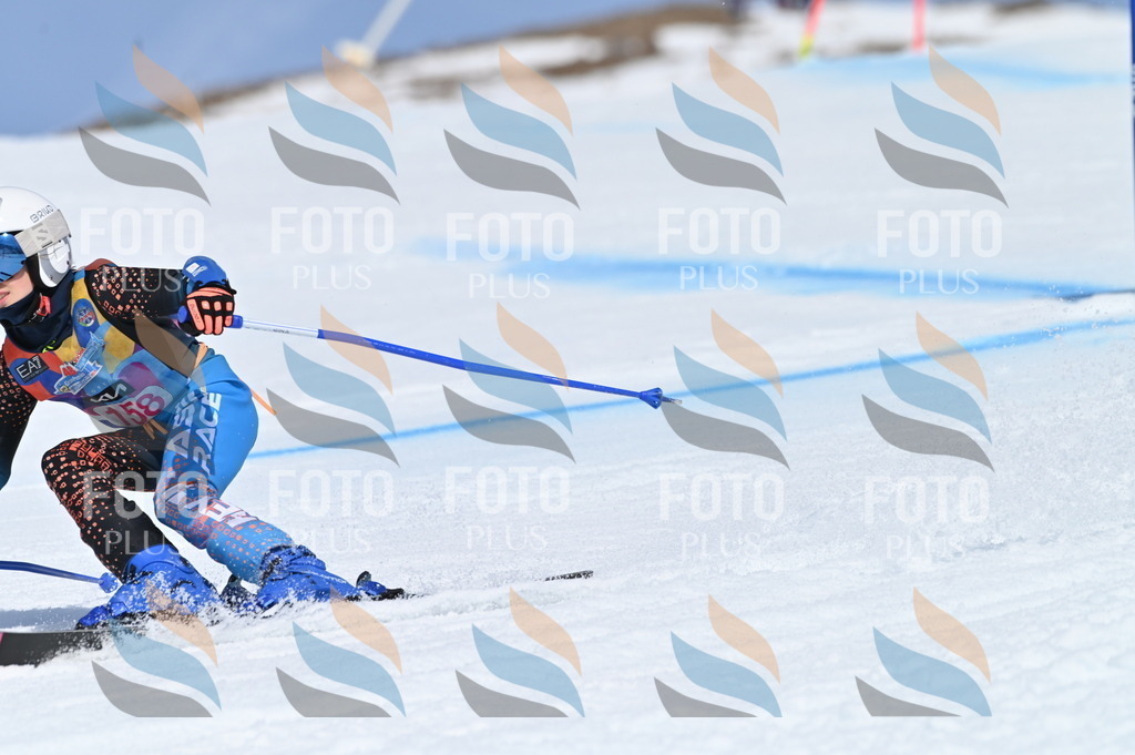 BGV_0214 | holidayphoto