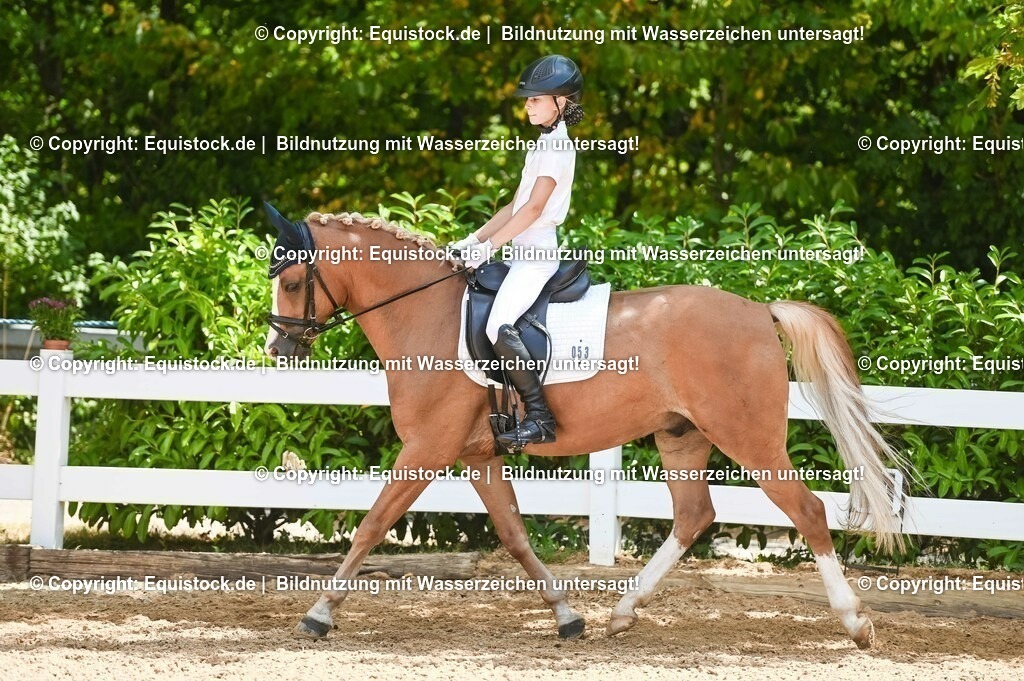 20230715_09_Dressur-WB_0256 | equistock