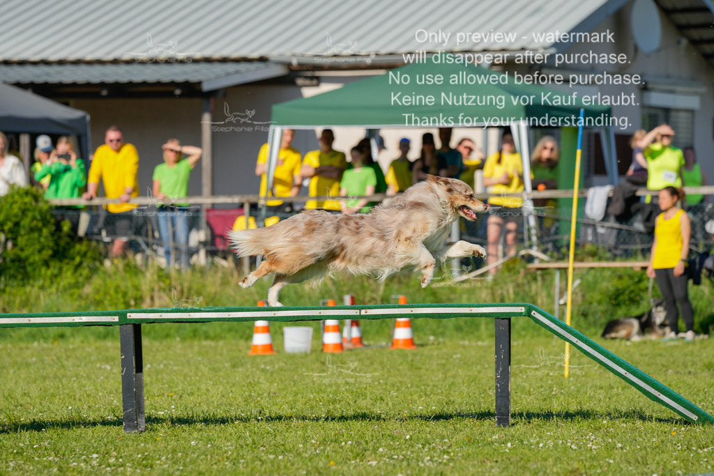 Sa_CSC-534 | stephaniefillaphotographie - Realisiert mit Pictrs.com