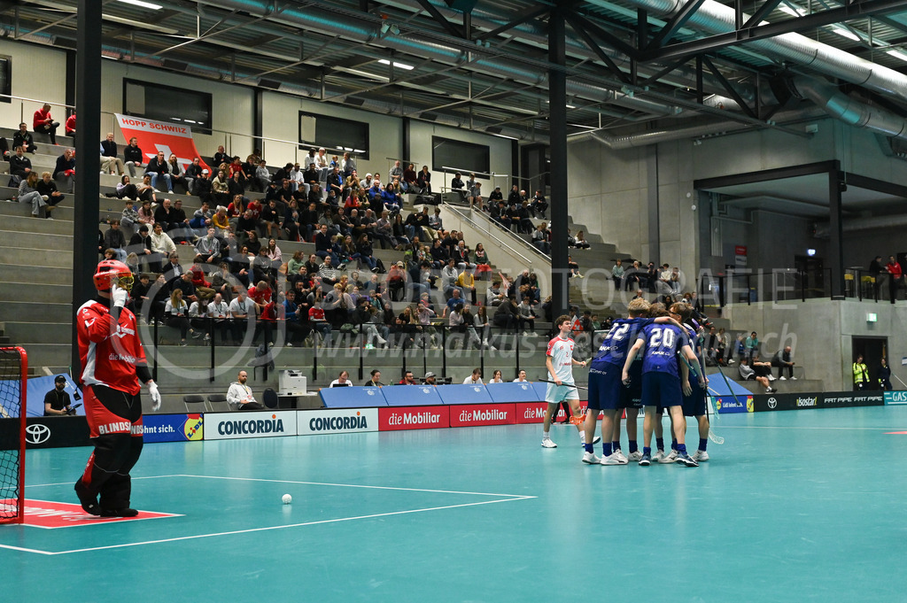 Switzerland U19 vs Finland U19 - 3. February 2024 | Switzerland U19 vs Finland U19
U19 Men International Matches in Switzerland
GoEasy Arena, Siggenthal Station
Finland celebrates a goal.
Credit: Markus Aeschimann | <a href="https://www.markus-aeschimann.ch">Sportfotografie Markus Aeschimann</a> | <a href="https://www.instagram.com/sportfotografie.aeschimann">@sportfotografie.aeschimann</a> - Realisiert mit Pictrs.com