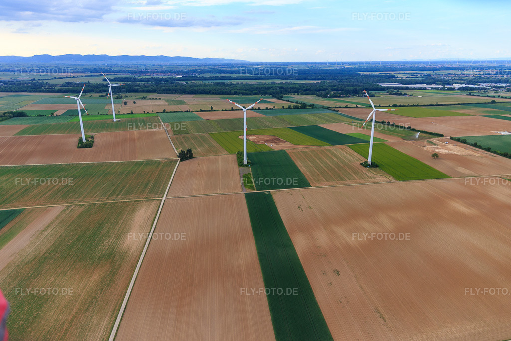 Luftbild: Windpark Minfeld in Minfeld im Bundesland Rheinland-Pfalz in Deutschland. Foto: IMG_146780.jpg vom 20.05.2025 durch Werner Riehm/FLY-FOTO.de