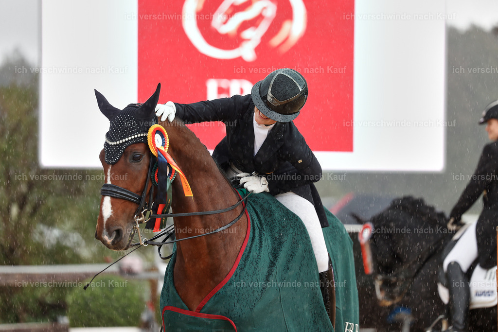 07-Siegerehrung-DRESSUR  S___  -StoibPH-5088 | working equitationturnier fotograf videograf stoibphotography marixx film working equitation deutschland reitsport turnierfotografie eventfotografie equestrian events