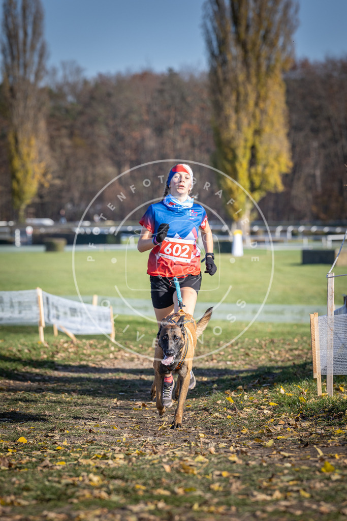 CaniXpix_DV3A9518 | Hundefotografie, Tierfotograf, Pfotenfotografie, Fotoshooting Hund, Hunde Portrait, Hundesport, Hundeportraits, Heideshooting, Hunde, Sportfotograf, Hundefotograf, Turnierhundsport, THS,  - Realisiert mit Pictrs.com