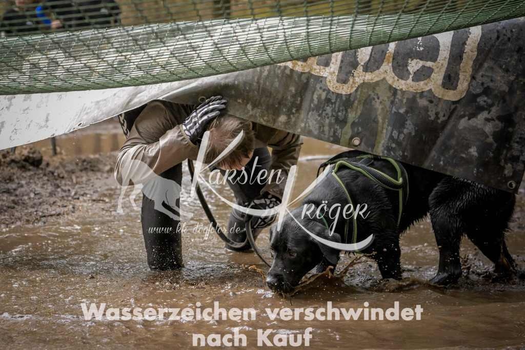 1048_ZZ92001 | kk-dogfotos