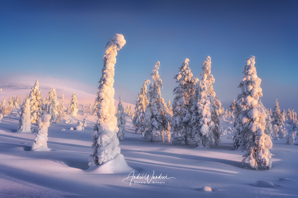 Ein Wintermärchen | Andre Wandrei - Nature Artworx - Realisiert mit Pictrs.com