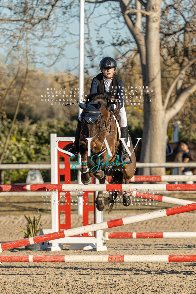 IMG_2458-2 | s-jay-photography - Realisiert mit Pictrs.com