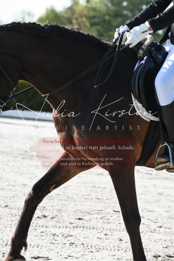 20230518_JK-Röhrsdorf-09-0072 | Pferde- und Turnierfotografie in Westsachsen. Pferdeportraits, Auftragszeichnungen und intuitive Kunst.
