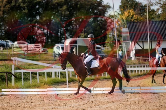 2026_10_03_Siefer-Hof_122705_Z63_47967052 | Professionelle Reitsport-, Turnier- und Eventfotografie von Robert Broda. Galerien mit ausgewählten und bearbeiteten Bildern direkt online ansehen und bestellen.