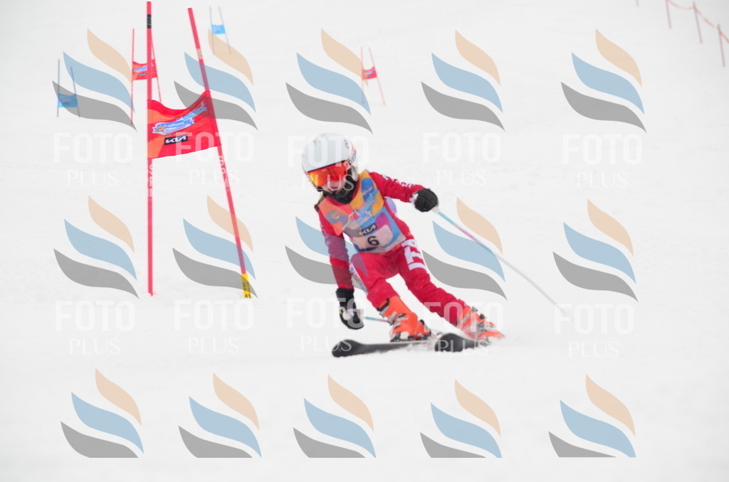 C0561 | holidayphoto