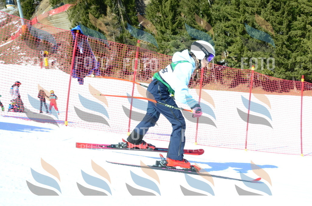 C6028 | holidayphoto