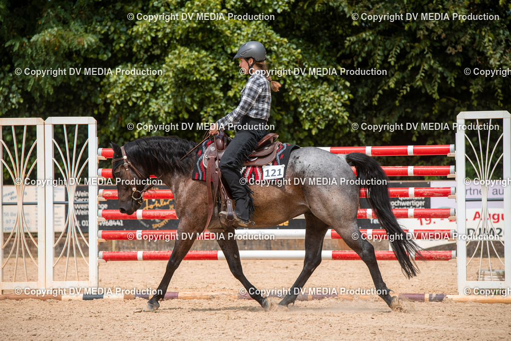 EWP_6311 | dv-media-shop - Realisiert mit Pictrs.com