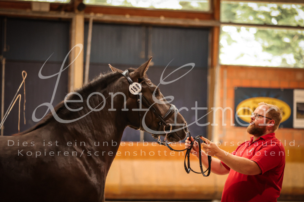 SaFL00368 | Leoni Ertmer Photography - Realisiert mit Pictrs.com