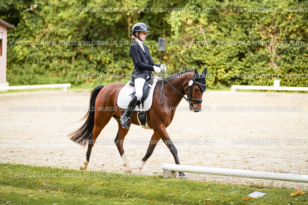 DSC09522 | Pferdegrafie