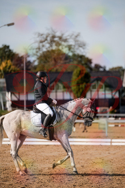 2026_10_03_Siefer-Hof_122915_Z63_50717327 | Professionelle Reitsport-, Turnier- und Eventfotografie von Robert Broda. Galerien mit ausgewählten und bearbeiteten Bildern direkt online ansehen und bestellen.