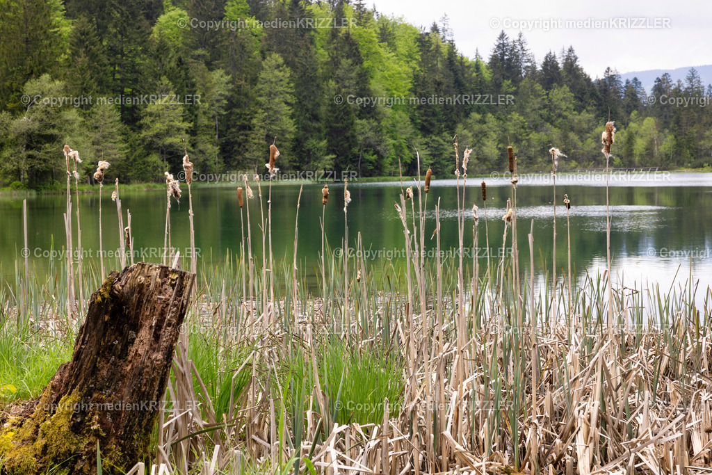 Frillensee | medienkrizzler - Realisiert mit Pictrs.com