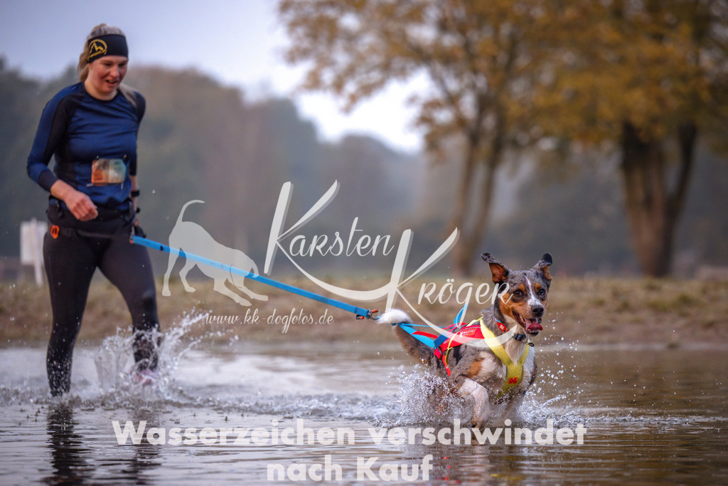 0808_ZZ90480 | kk-dogfotos