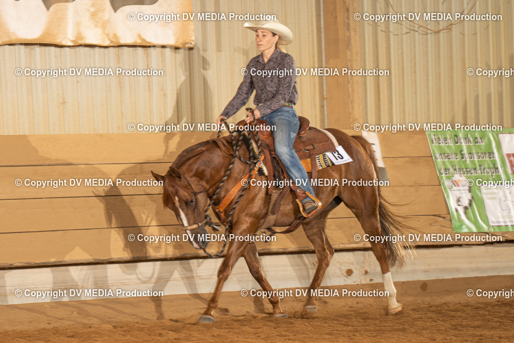 NID01467 | dv-media-shop - Realisiert mit Pictrs.com