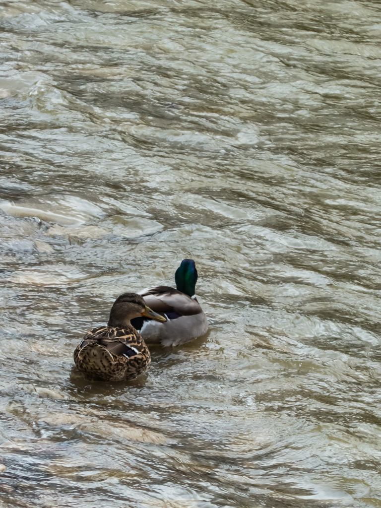 PSX_20230313_000554 | mtkfoto_ - Realisiert mit Pictrs.com