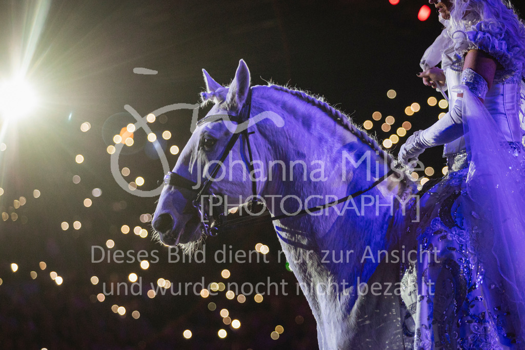 241102_Oldenburg_Show-356 | Deine schönsten Turniermomente als professionelle Fotos! Entdecke hochwertige Pferdesport-Fotografie im Online-Shop. Jetzt Fotos finden & bestellen!