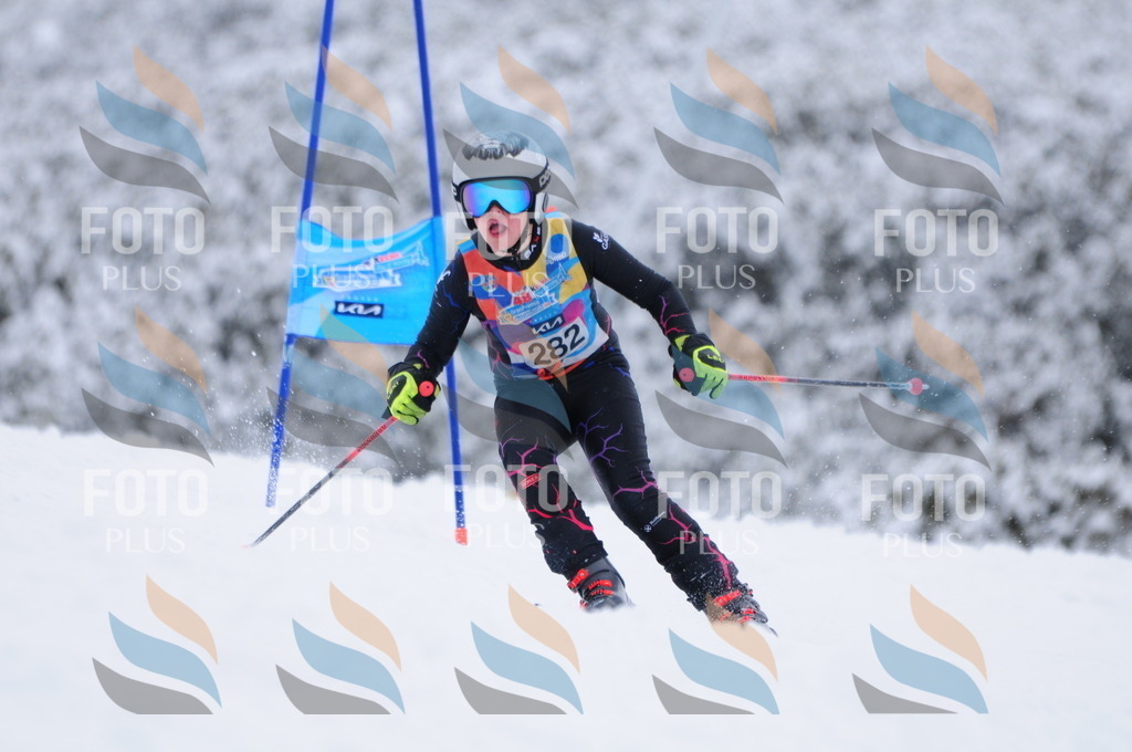 C2972 | holidayphoto