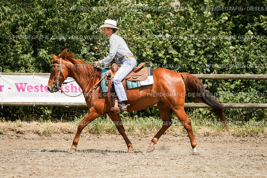 DSC09552 | Pferdegrafie