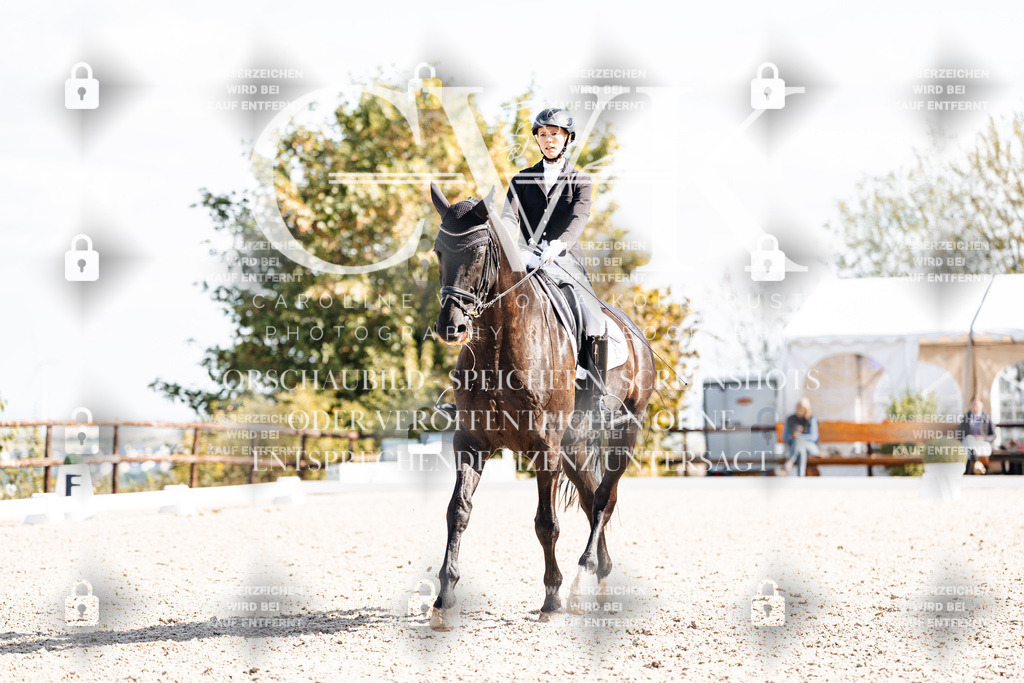 CK902521 | Turnierfotografie Pferdefotografie Trier Rheinland-Pfalz Pferdesport Reitsport Tierfotografie Sportfotografie Pferdevideo Pferdevideografie Equestrianvideography equestrianphotography  - Realisiert mit Pictrs.com