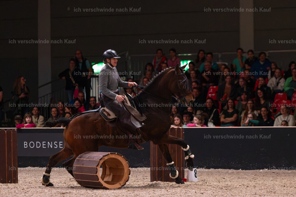 JoseraCup-190 | working equitationturnier fotograf videograf stoibphotography marixx film working equitation deutschland reitsport turnierfotografie eventfotografie equestrian events