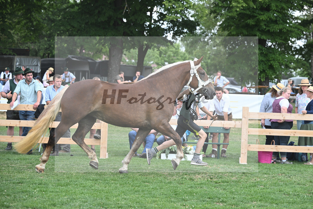 Kat-Nr. 33 Zara_Stadler_20230511 | hf-fotografie - Realisiert mit Pictrs.com