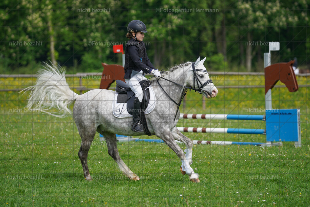 20240509-FAH02262 | Turnierbilder der Turnierfotografen Bayern, Pferdesport Fotografie, Reitsportbilder, Turnier Landberg am Lech, Turnierbilder bayern, Fotoagentur Herrmann